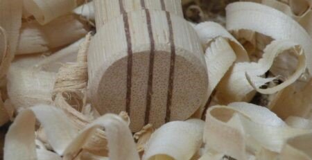 cane handle